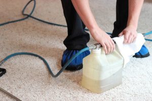 carpet-cleaning-pre-treatment
